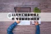 11月外汇储备规模上升 专家解读影响因素