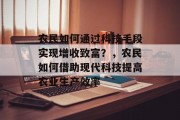 农民如何通过科技手段实现增收致富?,农民如何借助现代科技提高农业生产效率