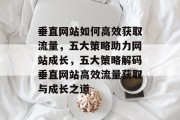 垂直网站如何高效获取流量，五大策略助力网站成长，五大策略解码垂直网站高效流量获取与成长之道