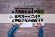 申万宏源赵伟：更务实，更有力——12月中央经济工作会议精神学习