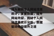 深入解析个人网站流量统计，掌握数据，提升网站效益，揭秘个人网站流量统计分析，数据驱动效益提升之道