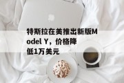 特斯拉在美推出新版Model Y，价格降低1万美元