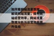 如何看网站流量数据，解读网站流量，提升网站运营效率，网站流量数据分析与运营效率提升指南