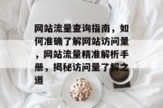 网站流量查询指南，如何准确了解网站访问量，网站流量精准解析手册，揭秘访问量了解之道