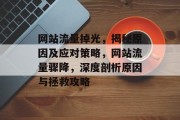 网站流量掉光，揭秘原因及应对策略，网站流量骤降，深度剖析原因与拯救攻略