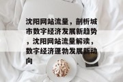 沈阳网站流量，剖析城市数字经济发展新趋势，沈阳网站流量解读，数字经济蓬勃发展新动向