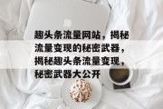 趣头条流量网站，揭秘流量变现的秘密武器，揭秘趣头条流量变现，秘密武器大公开