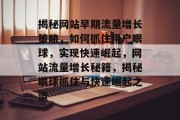 揭秘网站早期流量增长策略，如何抓住用户眼球，实现快速崛起，网站流量增长秘籍，揭秘眼球抓住与快速崛起之道