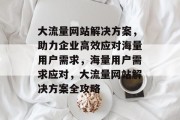 大流量网站解决方案，助力企业高效应对海量用户需求，海量用户需求应对，大流量网站解决方案全攻略