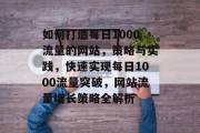 如何打造每日1000流量的网站，策略与实践，快速实现每日1000流量突破，网站流量增长策略全解析