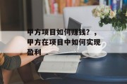 甲方项目如何赚钱？，甲方在项目中如何实现盈利