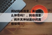 揭秘网络搜索，真的那么神奇吗？，网络搜索，揭开其神秘面纱的真相探究