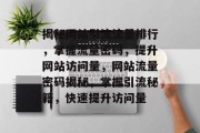 揭秘网站引流流量排行，掌握流量密码，提升网站访问量，网站流量密码揭秘，掌握引流秘籍，快速提升访问量
