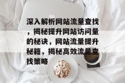 深入解析网站流量查找，揭秘提升网站访问量的秘诀，网站流量提升秘籍，揭秘高效流量查找策略