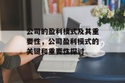 公司的盈利模式及其重要性,公司盈利模式的关键和重要性探讨 公司的盈利模式及其重要性,公司盈利模式的关键和重要性探讨
