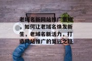 老域名新网站推广策略，如何让老域名焕发新生，老域名新活力，打造网站推广的复兴之路