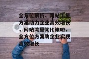 全方位解析，网站流量方案助力企业高效增长，网站流量优化策略，全方位方案助企业实现高效增长