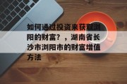 如何通过投资来获取浏阳的财富?,湖南省长沙市浏阳市的财富增值方法