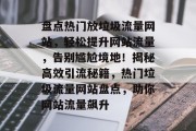 盘点热门放垃圾流量网站，轻松提升网站流量，告别尴尬境地！揭秘高效引流秘籍，热门垃圾流量网站盘点，助你网站流量飙升