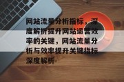 网站流量分析指标，深度解析提升网站运营效率的关键，网站流量分析与效率提升关键指标深度解析