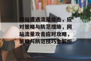 网站遭遇流量攻击，应对策略与防范措施，网站流量攻击应对攻略，策略与防范技巧全解析
