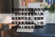 揭秘网站流量查询技巧，轻松掌握查看他人网站流量的方法，掌握网站流量查询秘诀，一招解锁他人网站流量秘密