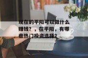 现在的平阳可以做什么赚钱?,在平阳,有哪些热门投资选择? 现在的平阳可以做什么赚钱?,在平阳,有哪些热门投资选择?