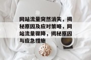 网站流量突然消失，揭秘原因及应对策略，网站流量骤降，揭秘原因与应急措施
