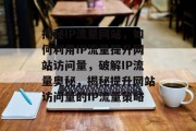 揭秘IP流量网站，如何利用IP流量提升网站访问量，破解IP流量奥秘，揭秘提升网站访问量的IP流量策略