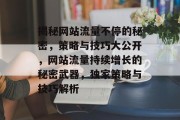 揭秘网站流量不停的秘密，策略与技巧大公开，网站流量持续增长的秘密武器，独家策略与技巧解析