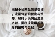 揭秘小说网站流量数据，流量背后的秘密与策略，解码小说网站流量之谜，揭秘流量增长背后的策略与奥秘
