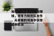 如何通过老板的项目赚钱，领导力和团队合作，从老板的项目中获得盈利机会