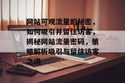 网站可观流量的秘密，如何吸引并留住访客，揭秘网站流量密码，策略解析吸引与留住访客之道