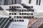 流量网站A，揭秘如何打造热门流量网站的秘密武器，流量网站A秘籍，打造热门网站的流量秘法大揭秘