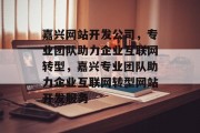 嘉兴网站开发公司，专业团队助力企业互联网转型，嘉兴专业团队助力企业互联网转型网站开发服务