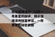 投资福建漳州，让你一夜暴富的秘诀，揭示福建漳州财富神话，一夜暴富的秘密武器