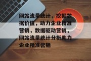 网站流量统计，挖掘数据价值，助力企业精准营销，数据驱动营销，网站流量统计分析助力企业精准营销