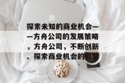 探索未知的商业机会——方舟公司的发展策略，方舟公司，不断创新、探索商业机会的引擎