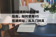 IIS搭建网站的详细指南，如何使用IIS搭建网站，从入门到高级