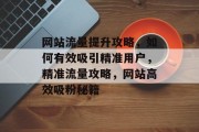 网站流量提升攻略，如何有效吸引精准用户，精准流量攻略，网站高效吸粉秘籍