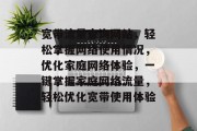 宽带流量查询网站，轻松掌握网络使用情况，优化家庭网络体验，一键掌握家庭网络流量，轻松优化宽带使用体验