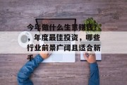 今年做什么生意赚钱?,年度最佳投资,哪些行业前景广阔且适合新手
