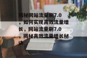 揭秘网站流量刷7.0，如何实现高效流量增长，网站流量刷7.0，揭秘高效流量增长秘诀