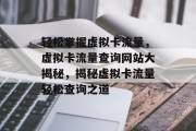 轻松掌握虚拟卡流量，虚拟卡流量查询网站大揭秘，揭秘虚拟卡流量轻松查询之道