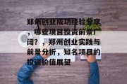 郑州创业成功经验分享，哪些项目投资前景广阔？，郑州创业实践与前景分析，知名项目的投资价值展望