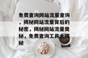 免费查询网站流量查询，揭秘网站流量背后的秘密，揭秘网站流量奥秘，免费查询工具大揭秘