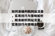 如何准确判断网站流量，实用技巧与策略解析，精准解析网站流量，实用技巧与策略全攻略