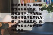 网站后台数据，揭秘网络世界的幕后力量，网络幕后推手，网站后台数据揭秘数字世界的力量，揭秘网络幕后，网站后台数据透视数字世界的力量