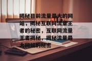 揭秘目前流量最大的网站，揭秘互联网流量王者的秘密，互联网流量王者揭秘，揭秘流量最大网站的秘密