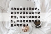 揭秘查国外流量网站，如何高效获取国际市场数据，国际市场数据分析，揭秘高效查国外流量网站的秘诀